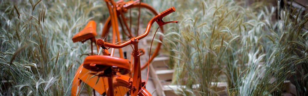 Girona, Temps de Flors