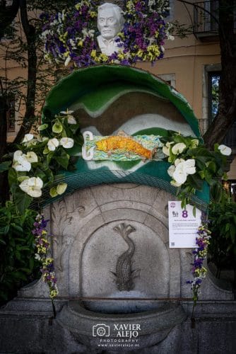 DSC0003-copia-2