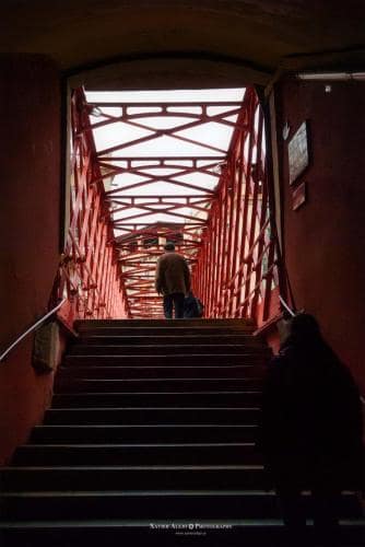 9015331048 1f1c397e84 k