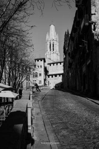 461865548_122115924992477376_9223142627111357695_n