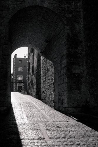 462152753_122116307168477376_8470526325513783899_n