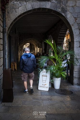 Todo está dispuesto