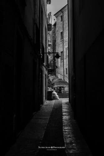 Sombras que susurran, luces que esperan