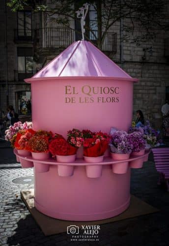 El quiosco que florece en mitad del mundo