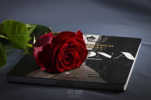 Rosa sobre palabra