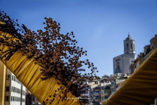 Tots els drets reservats. Todos los derechos reservados