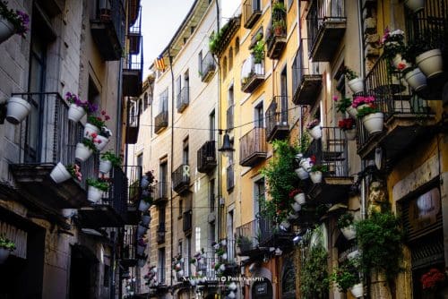 Tots els drets reservats. Todos los derechos reservados