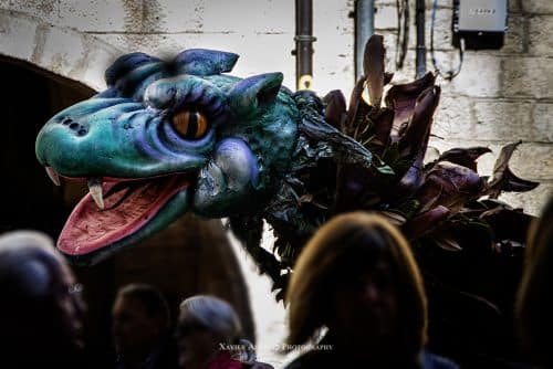 Tots els drets reservats. Todos los derechos reservados