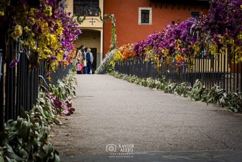 DSC0202-copia-2