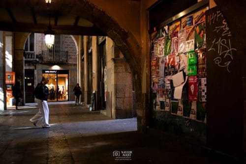 558493497 10239708447510620 5795729588744545338 n