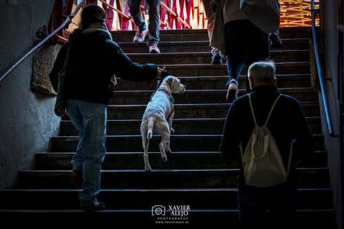 Escalera hacia la luz que espera