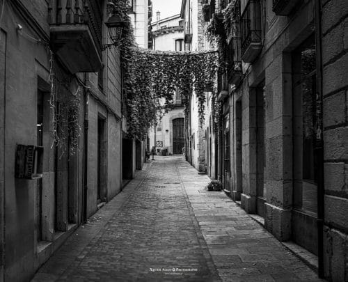 Carrer nou del tea