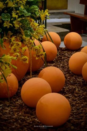 Girona, Temps de flors