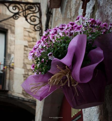 Girona, Temps de flors