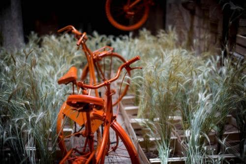 Girona, Temps de flors