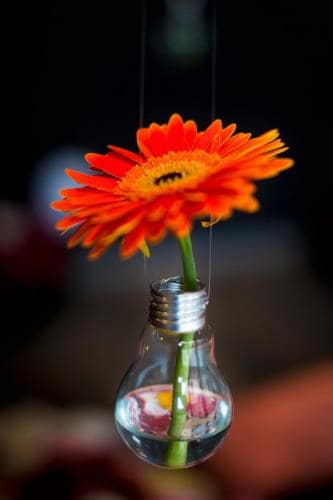 Girona, Temps de flors