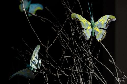 Girona, Temps de flors