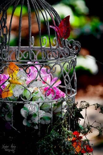 Girona, Temps de flors