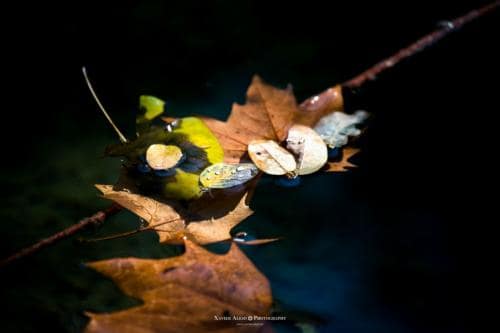  fin de semana reencuentros