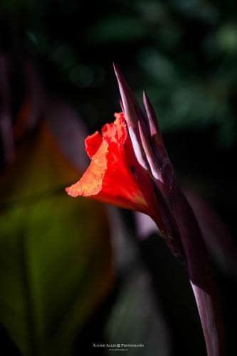  fin de semana reencuentros