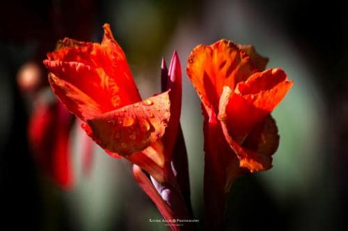  fin de semana reencuentros