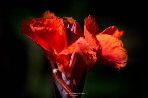  fin de semana reencuentros