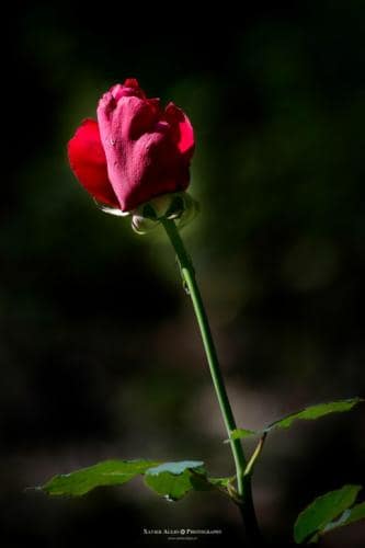  fin de semana reencuentros