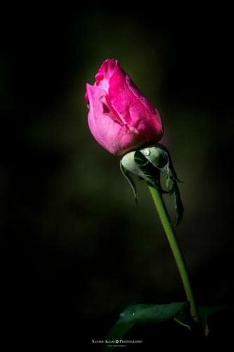  fin de semana reencuentros