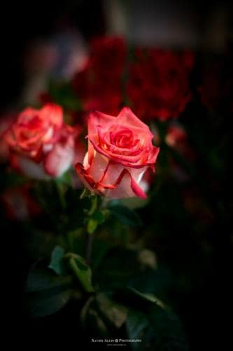  fin de semana reencuentros