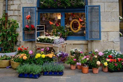 Floristeria Flor a Punt