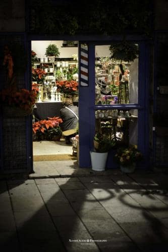 Floristeria Flor a Punt, Girona