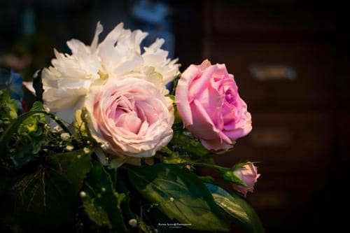 Flores, Floristeria Flor a Punt Girona