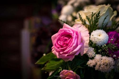 Flores, Floristeria Flor a Punt Girona